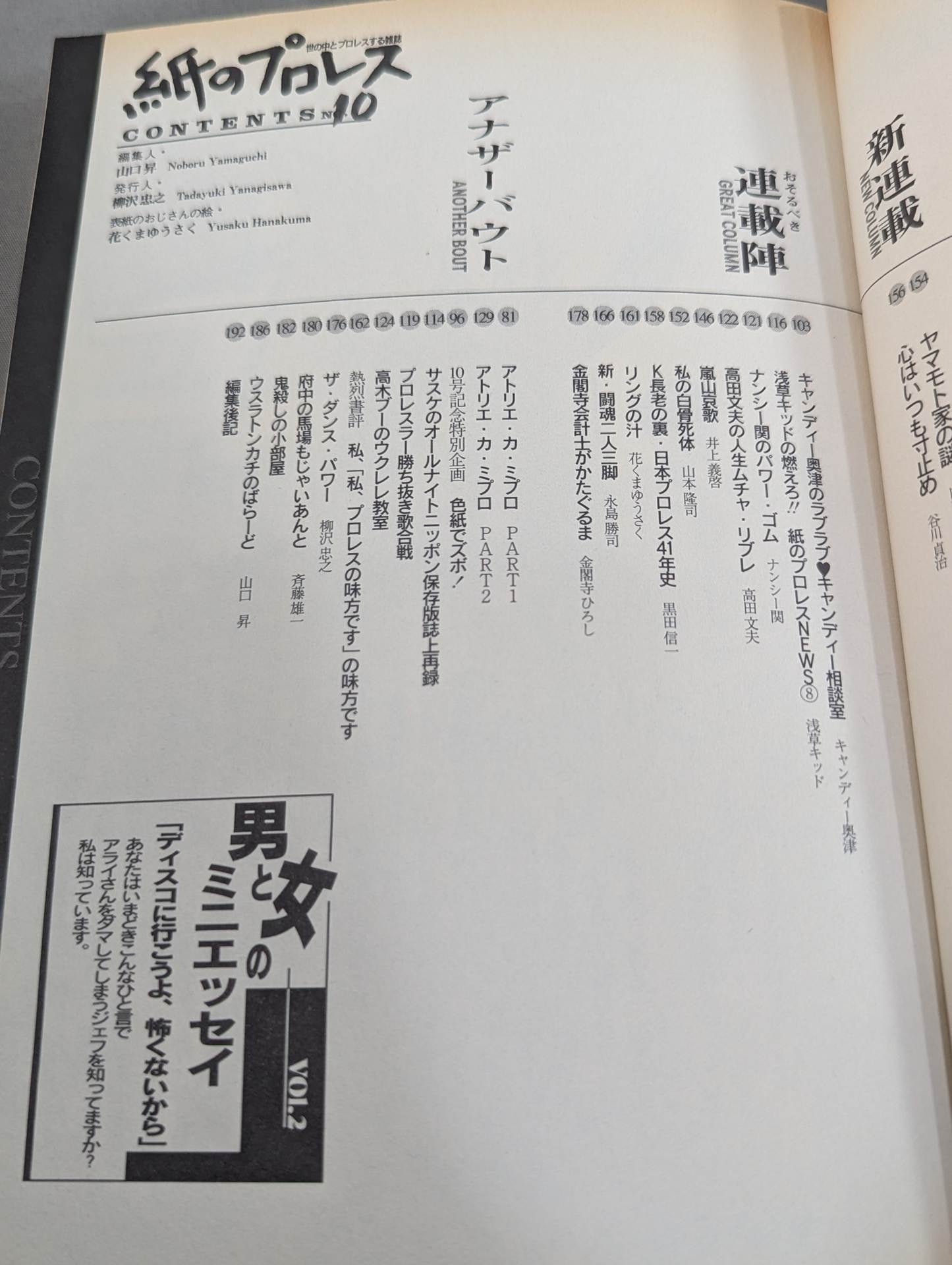 Paper Pro Wrestling  10