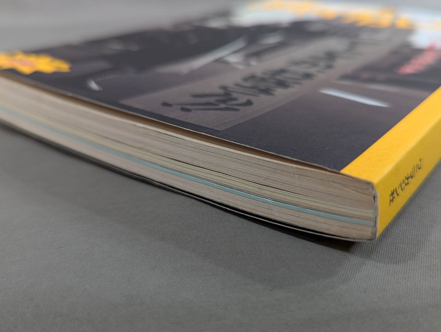 Paper Pro Wrestling  10