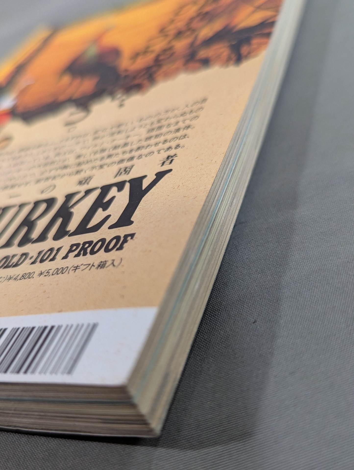 Paper Pro Wrestling  10