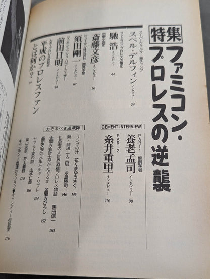 紙のプロレス13