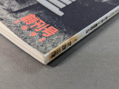 【創刊号】紙のプロレス1