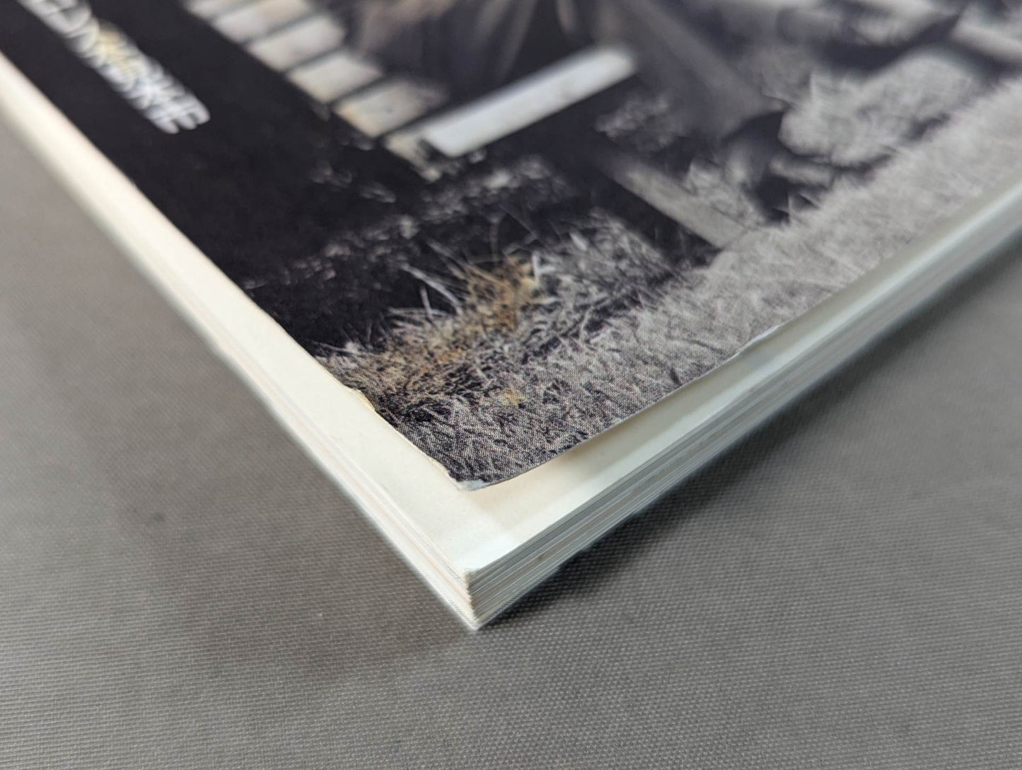 【創刊号】紙のプロレス1