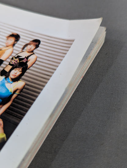女子プロレス事件File