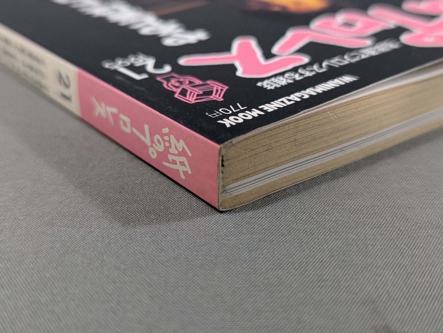 Paper Pro Wrestling 21