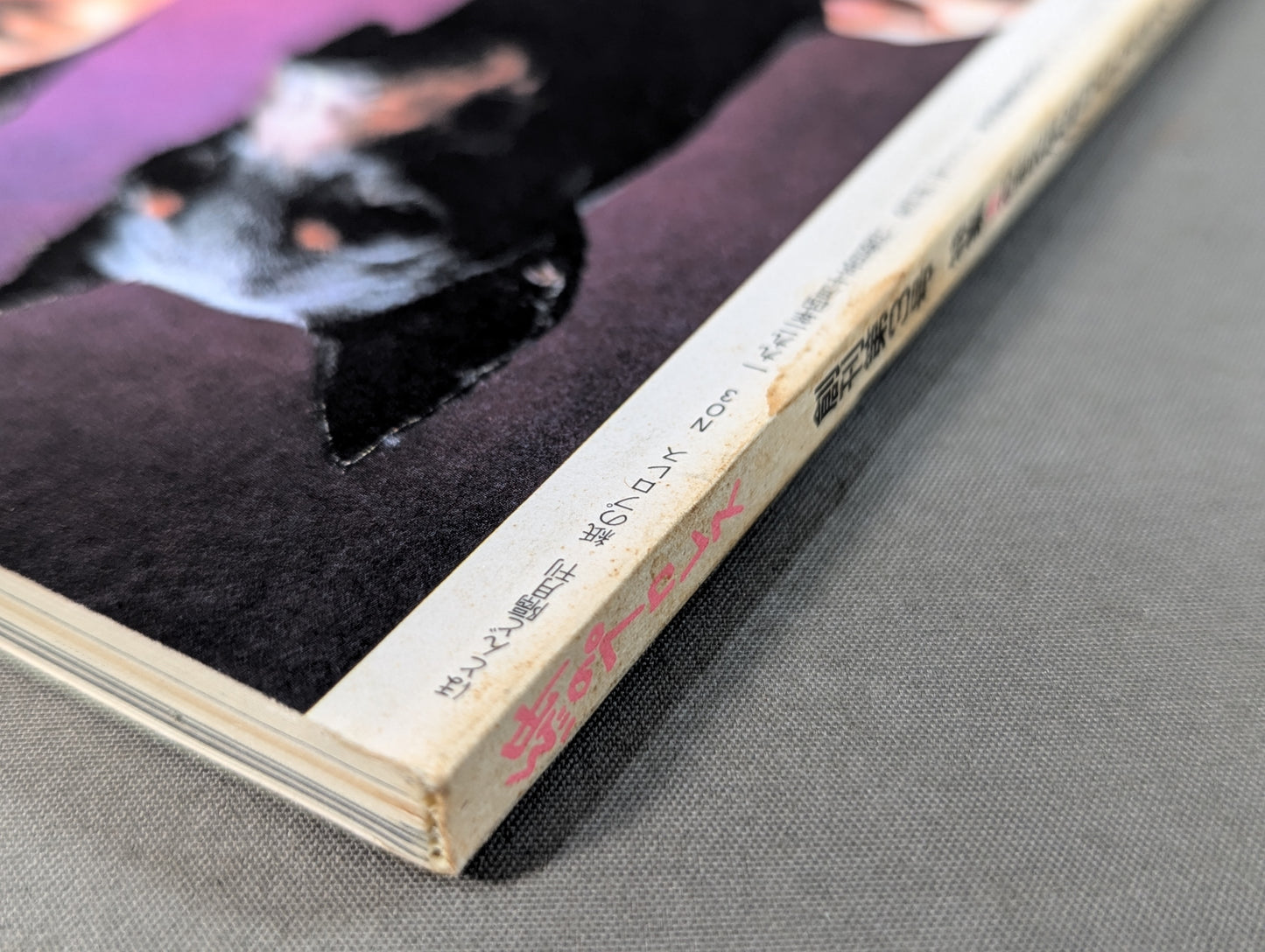 Pro Wrestling  on paper 3