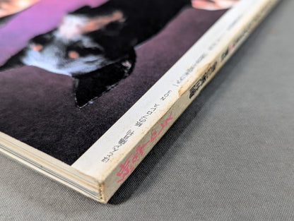 Pro Wrestling  on paper 3