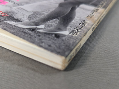 Pro Wrestling  on paper 3