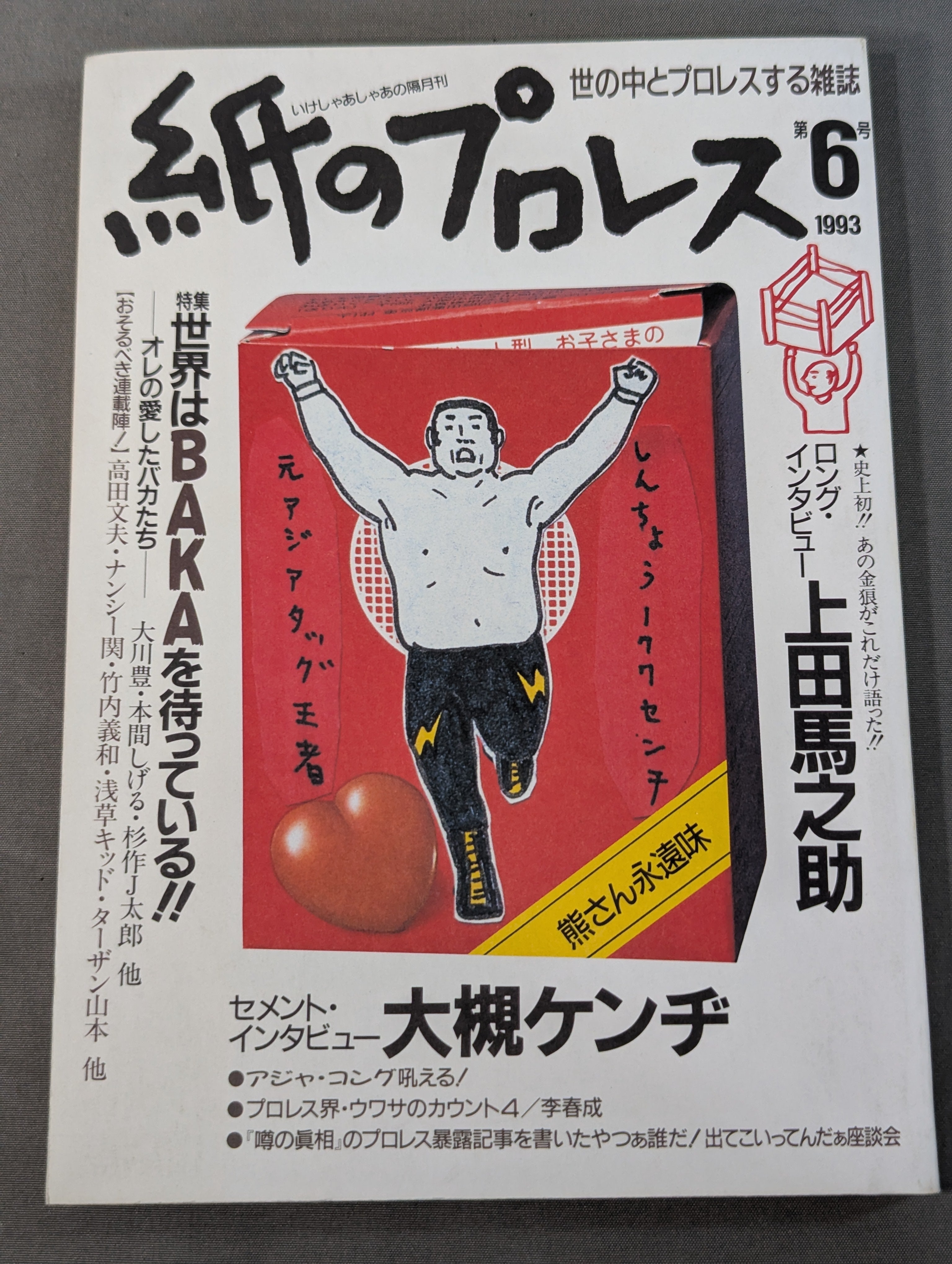 紙のプロレス6 – 闘道館