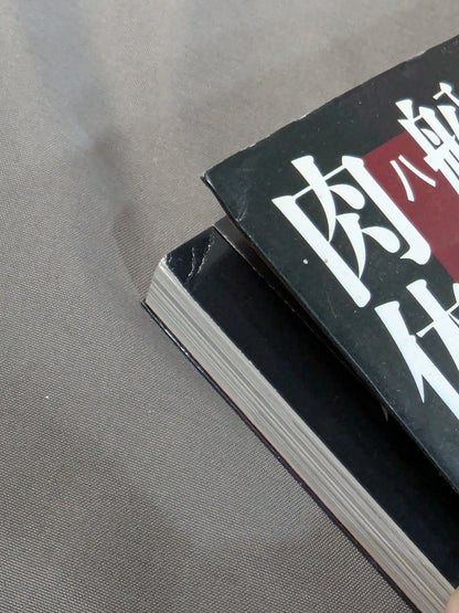 船木誠勝のハイブリッド肉体改造法