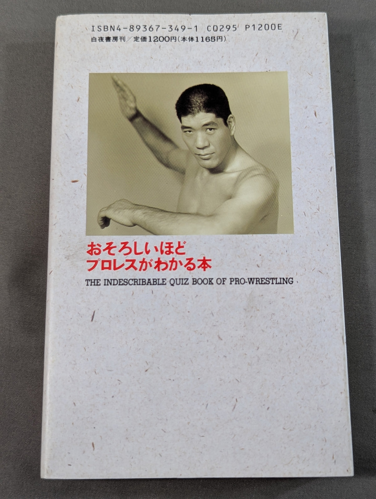 おそろしいほどプロレスがわかる本