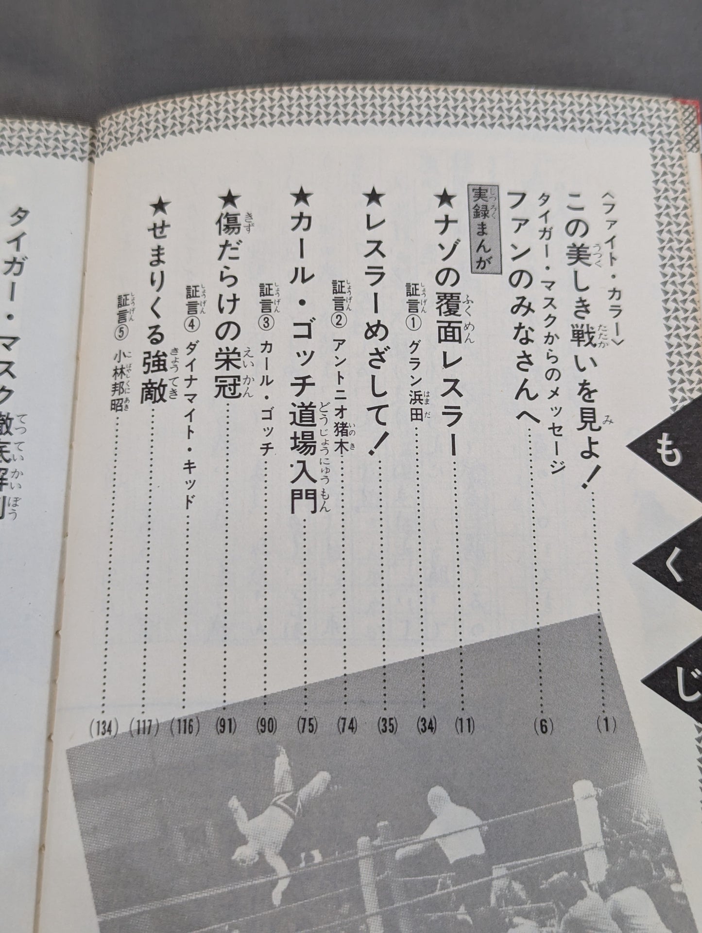 True story manga Tiger mask