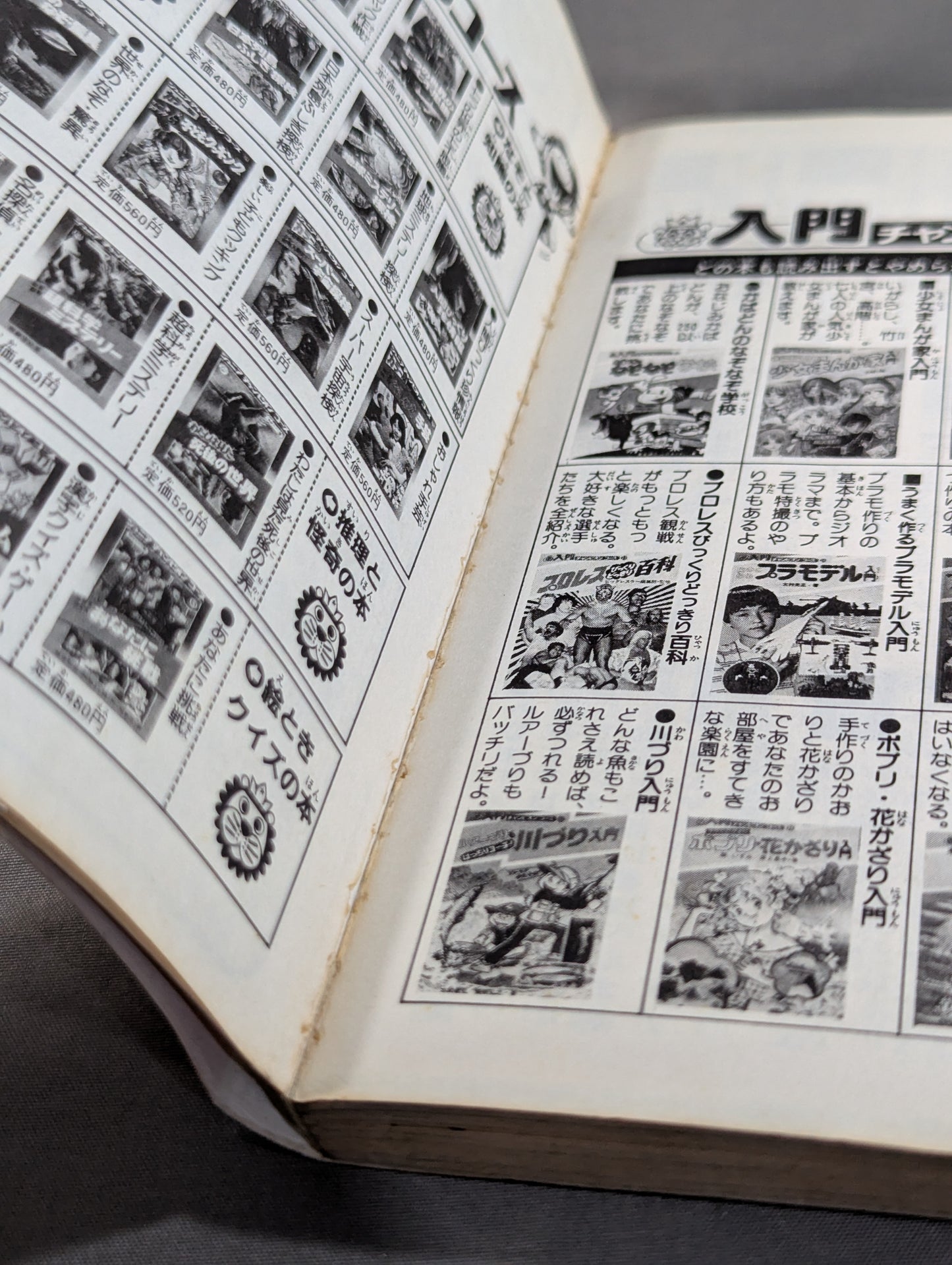 True story manga Tiger mask