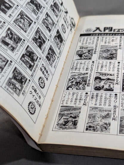 True story manga Tiger mask