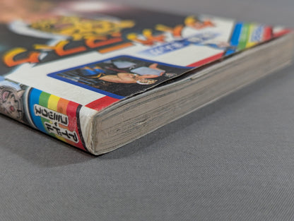 True story manga Tiger mask