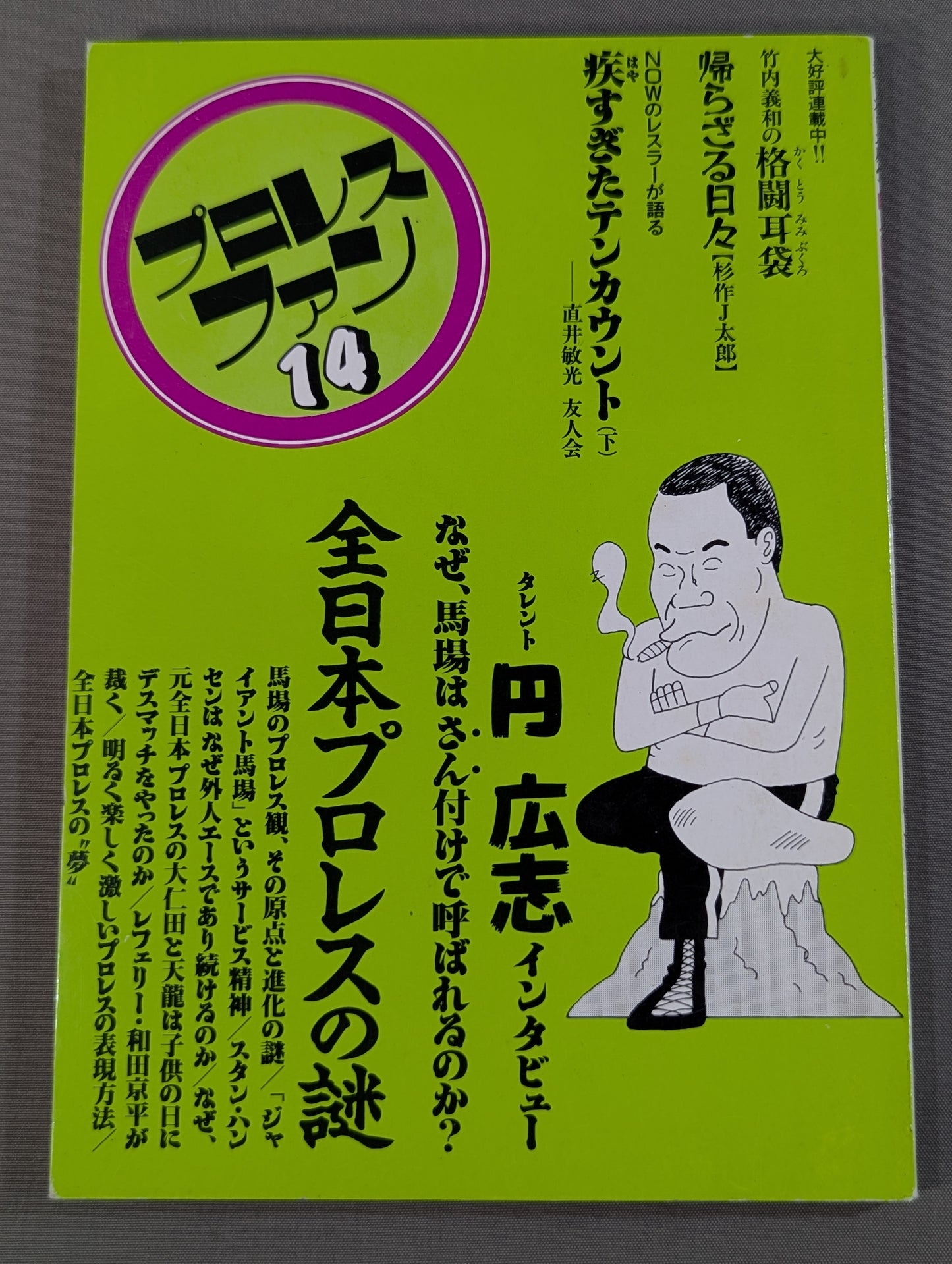 Pro Wrestling  Fun 14