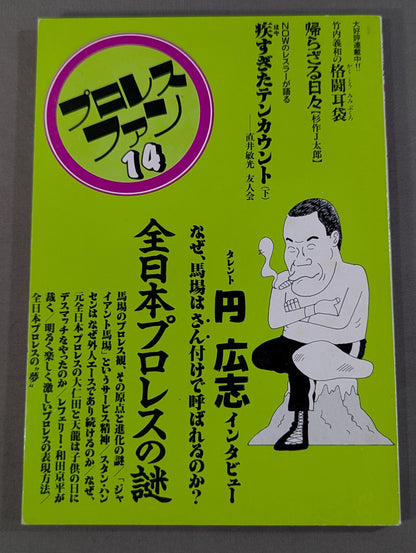 Pro Wrestling  Fun 14