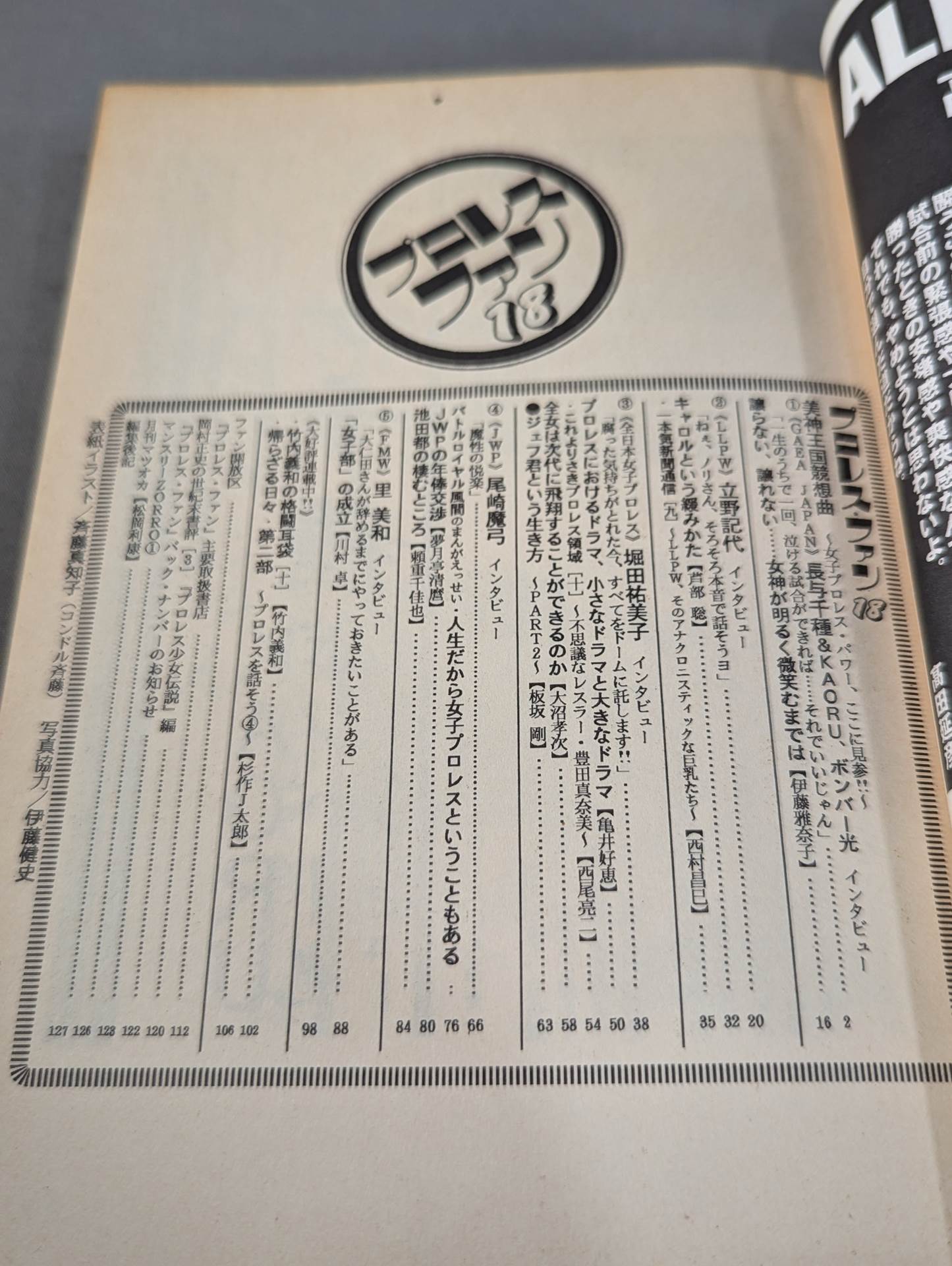 プロレス・ファン18