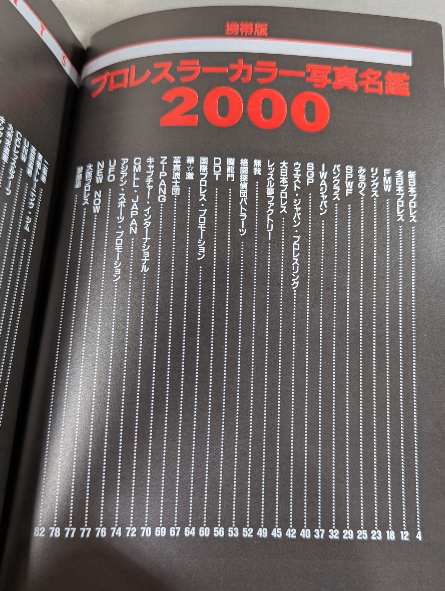 Pro Wrestler  Color Photo Directory 2000 [Mobile Version]