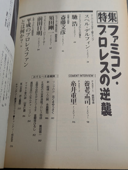 紙のプロレス13