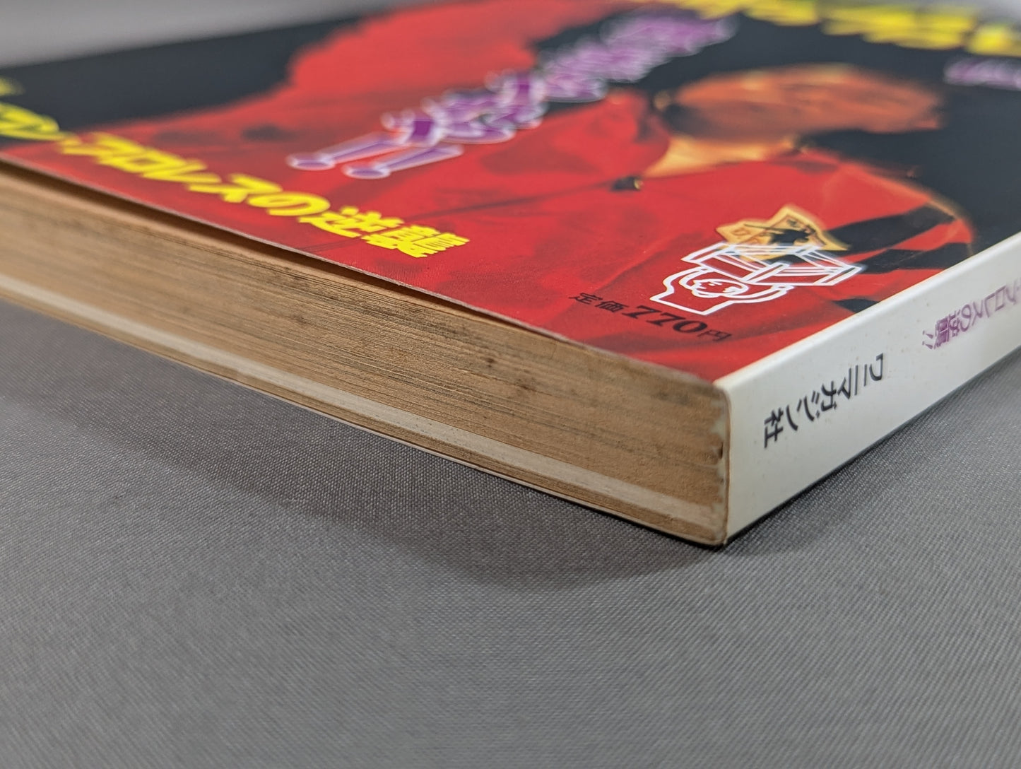 紙のプロレス13