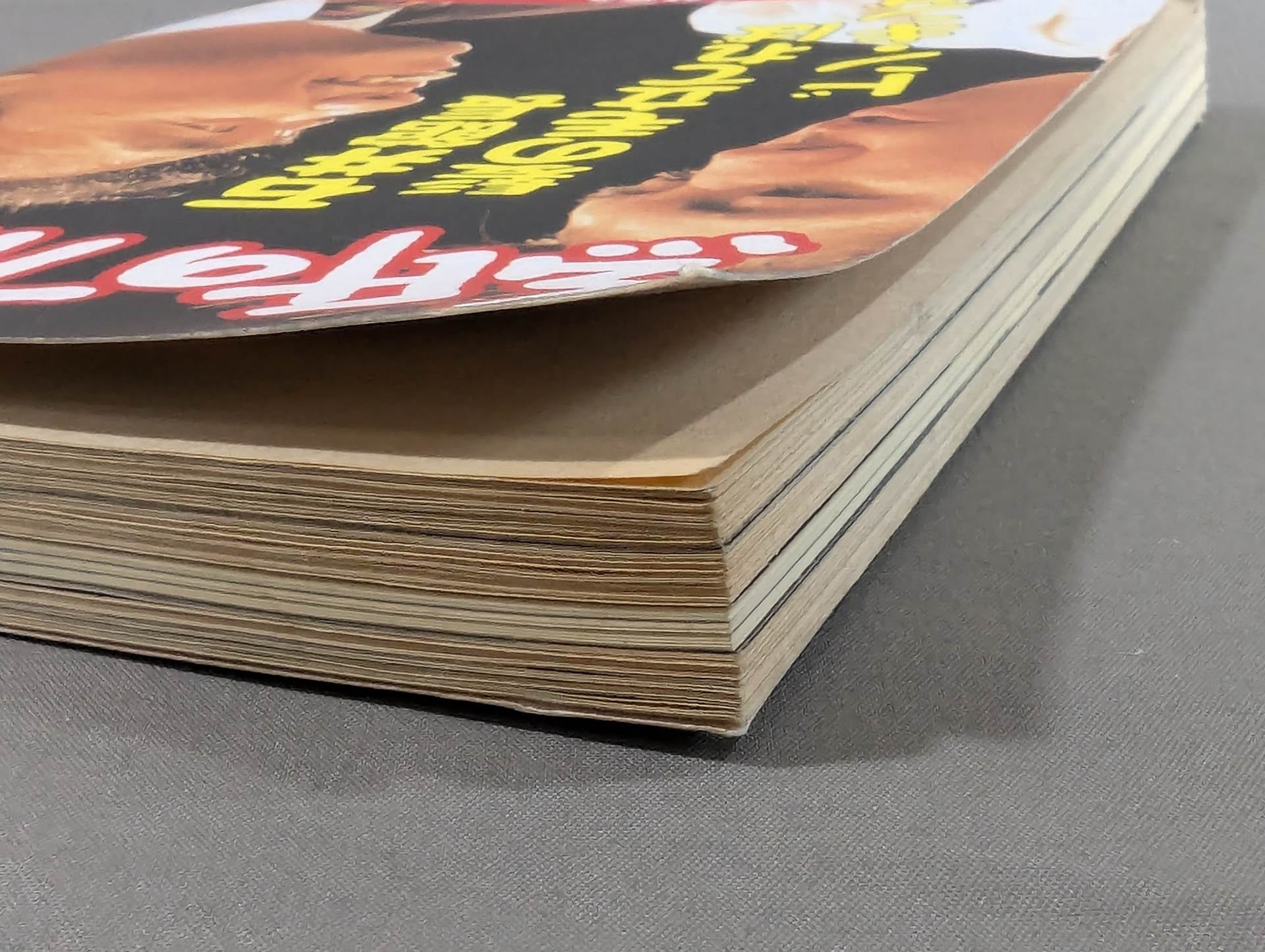Pro Wrestling on paper 15 – 闘道館