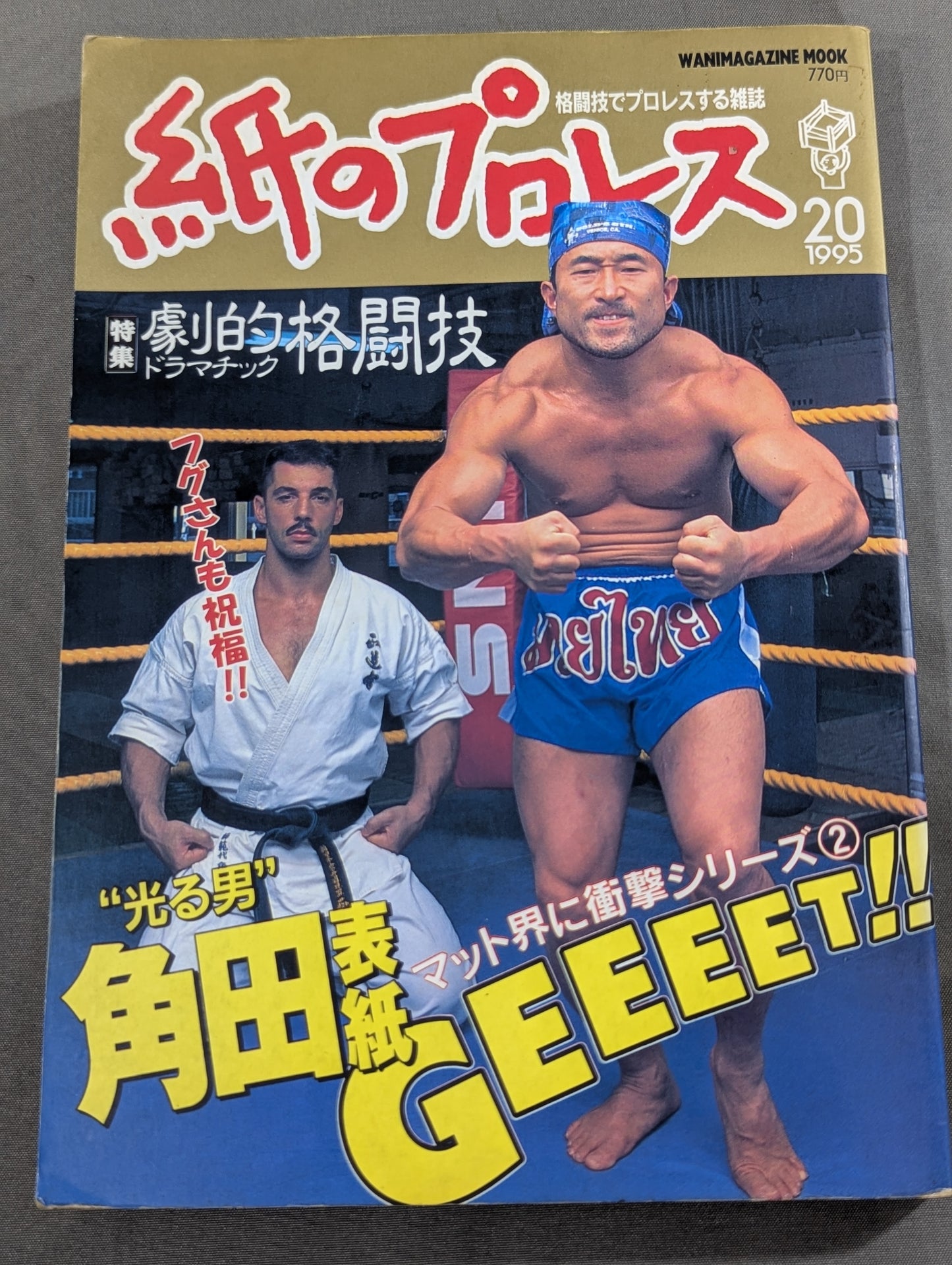 Paper Pro Wrestling 20