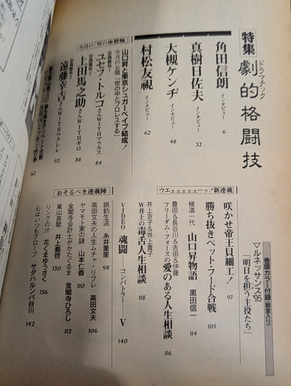 Paper Pro Wrestling 20