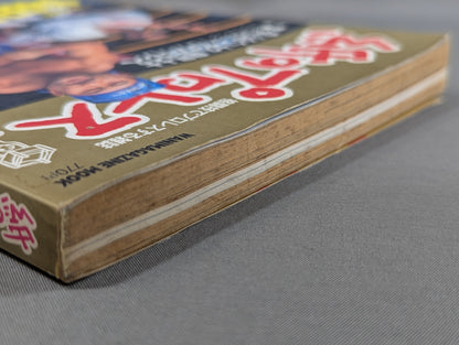 Paper Pro Wrestling 20