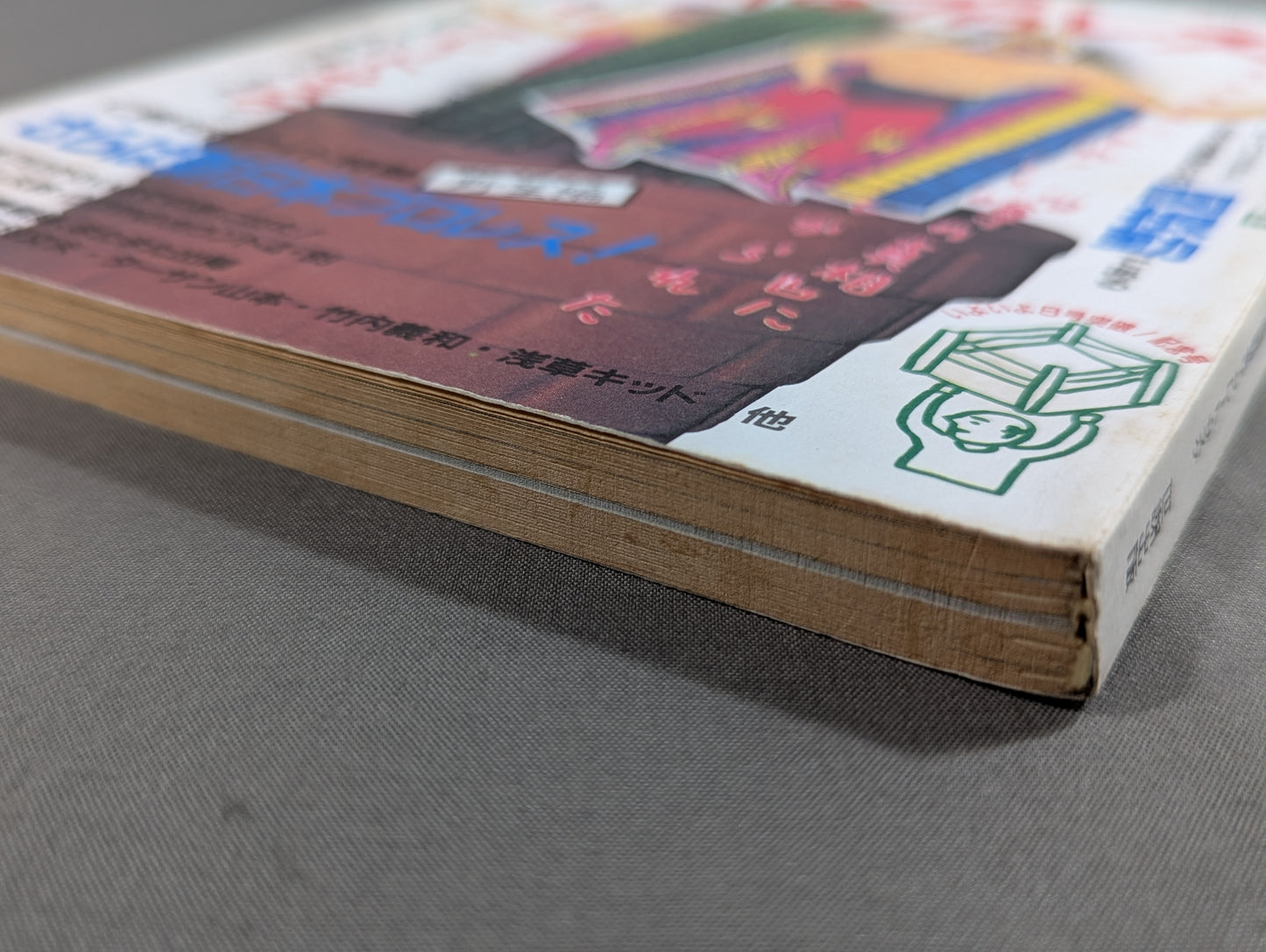 Paper Pro Wrestling 8