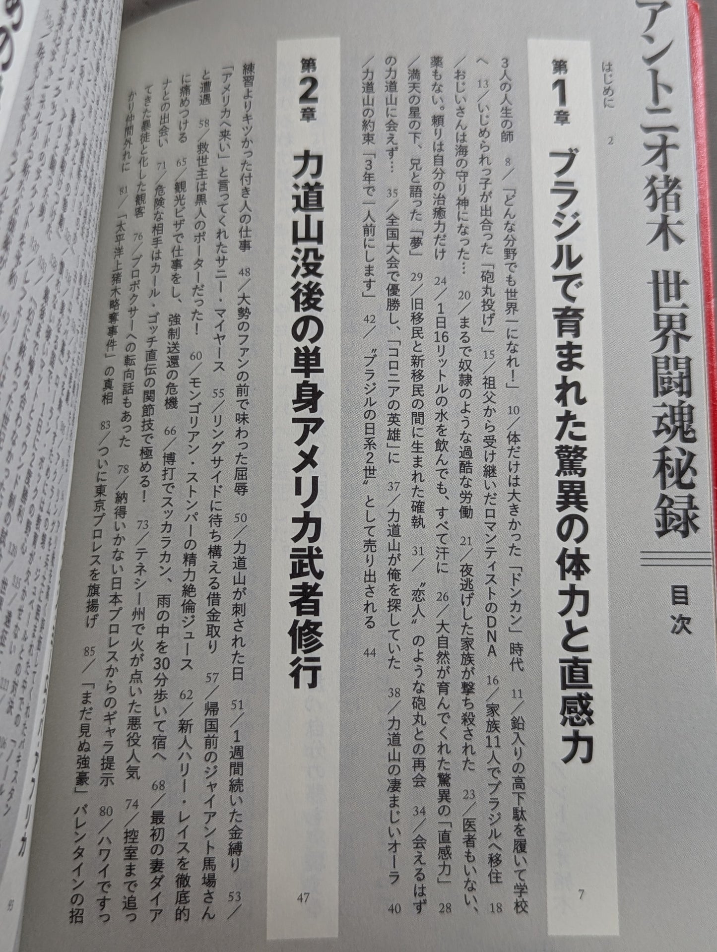Antonio Inoki  World Fighting Spirit Secret