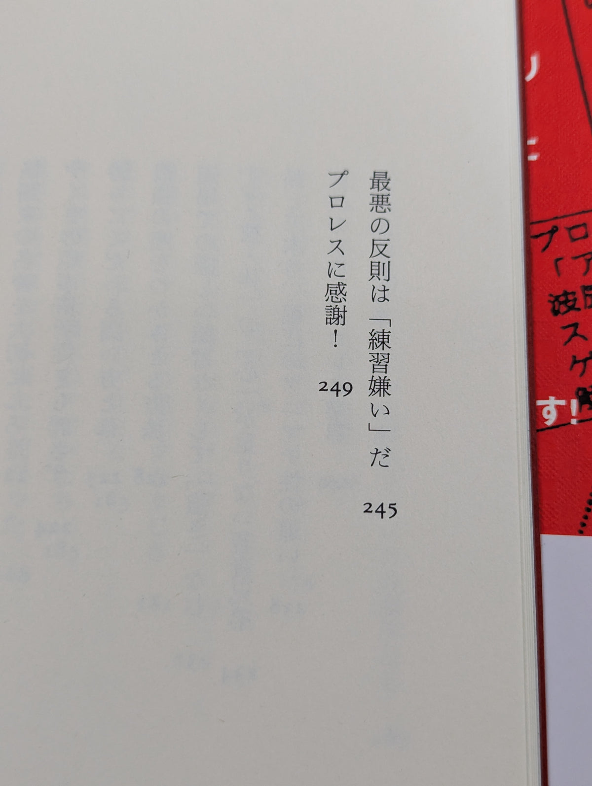 プロレス 金曜8時の黄金伝説