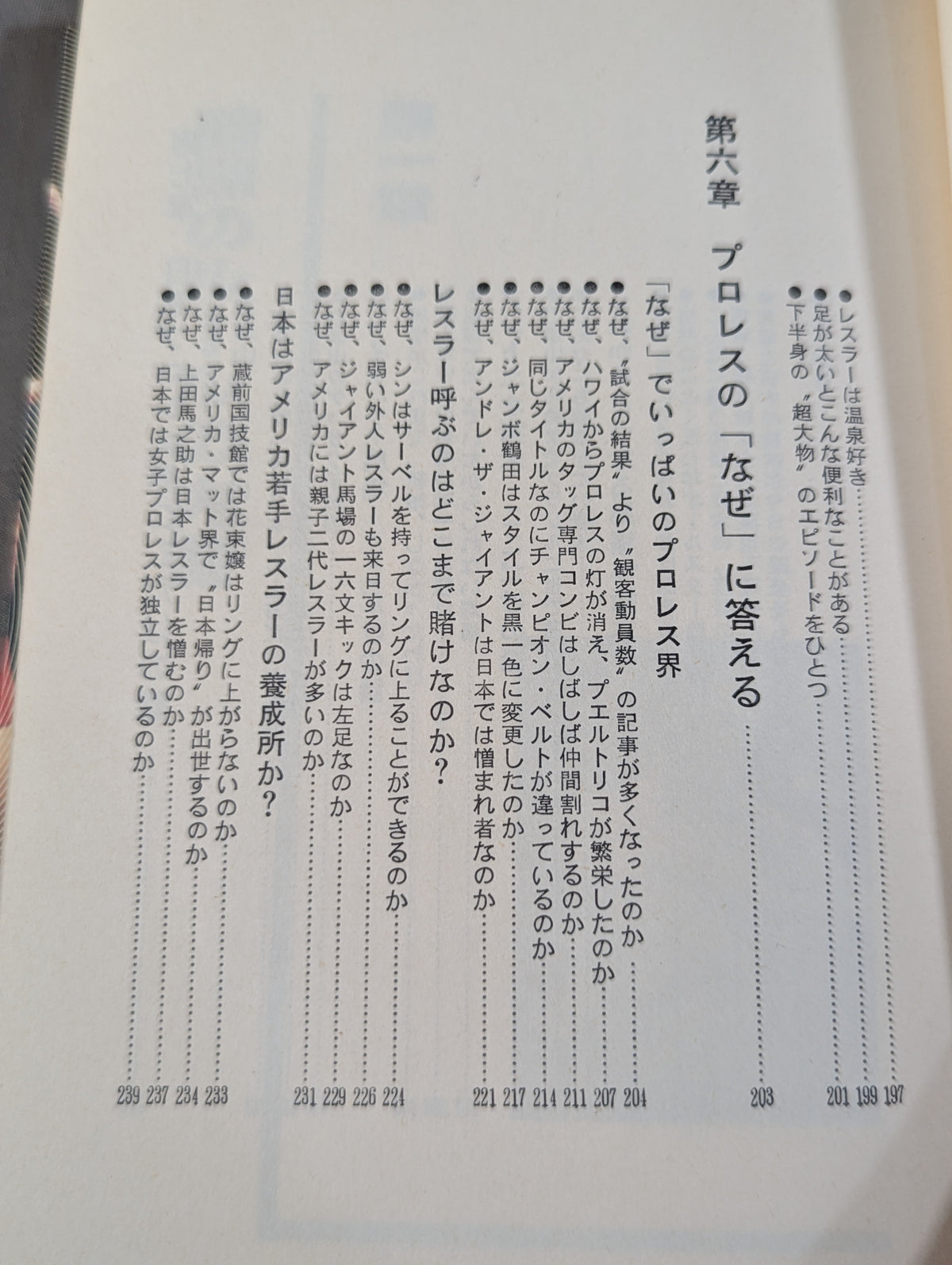 誰も書かなかったプロレスの内側(インサイド・レポート)