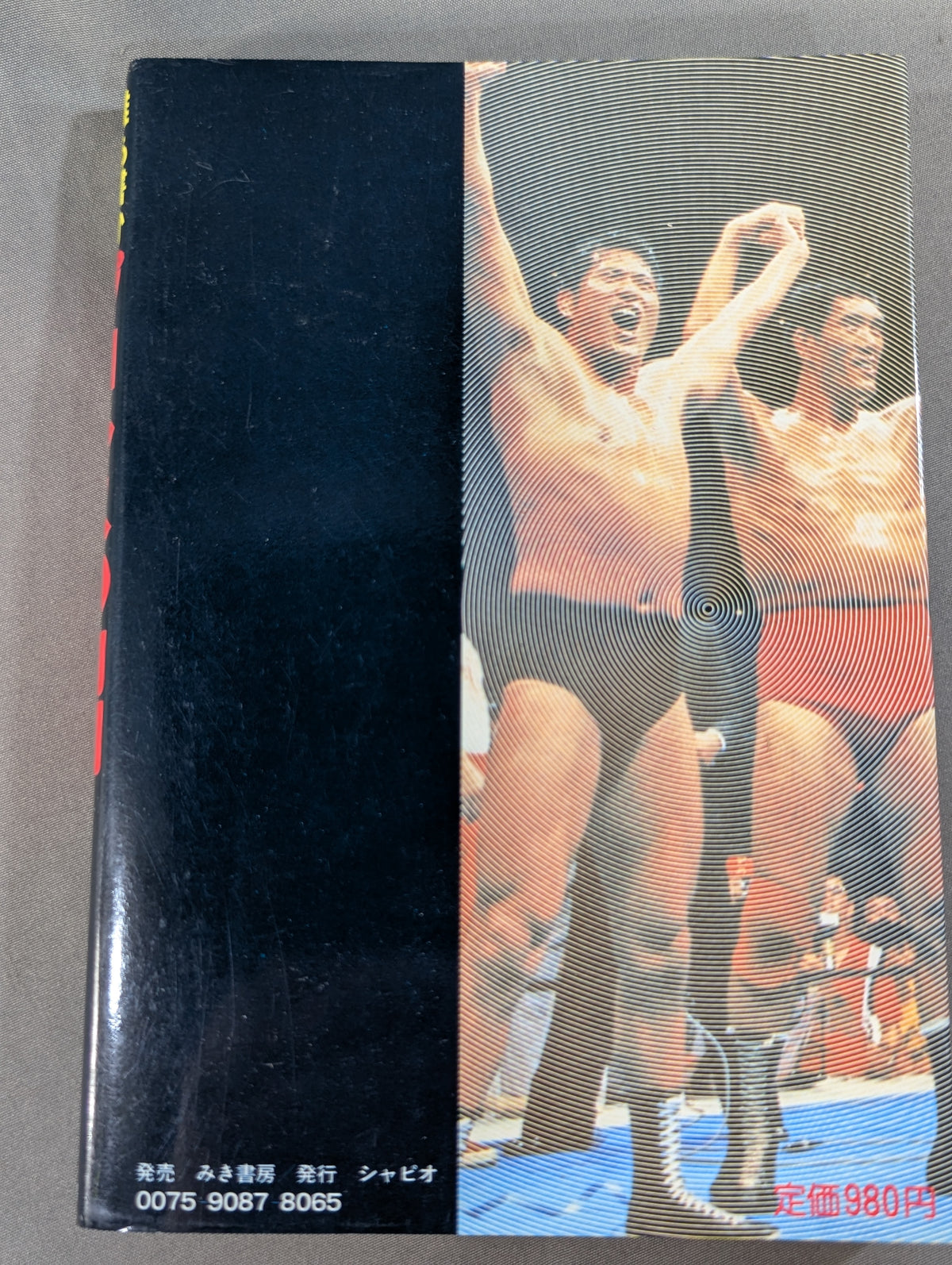 誰も書かなかったプロレスの内側(インサイド・レポート)