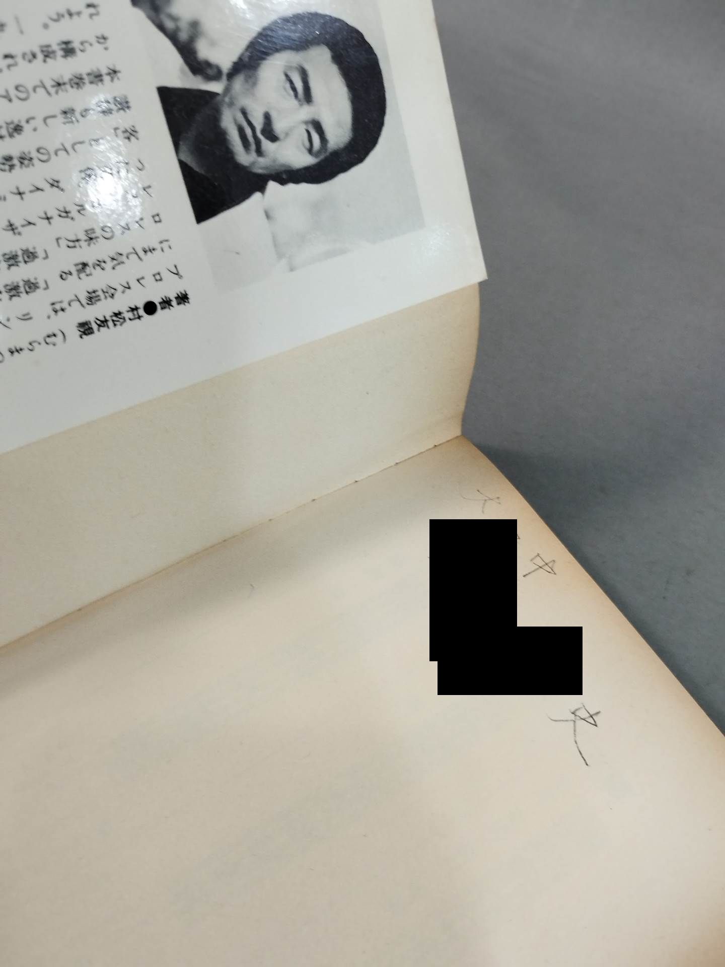 当然､プロレスの味方です 過激な生存の哲学