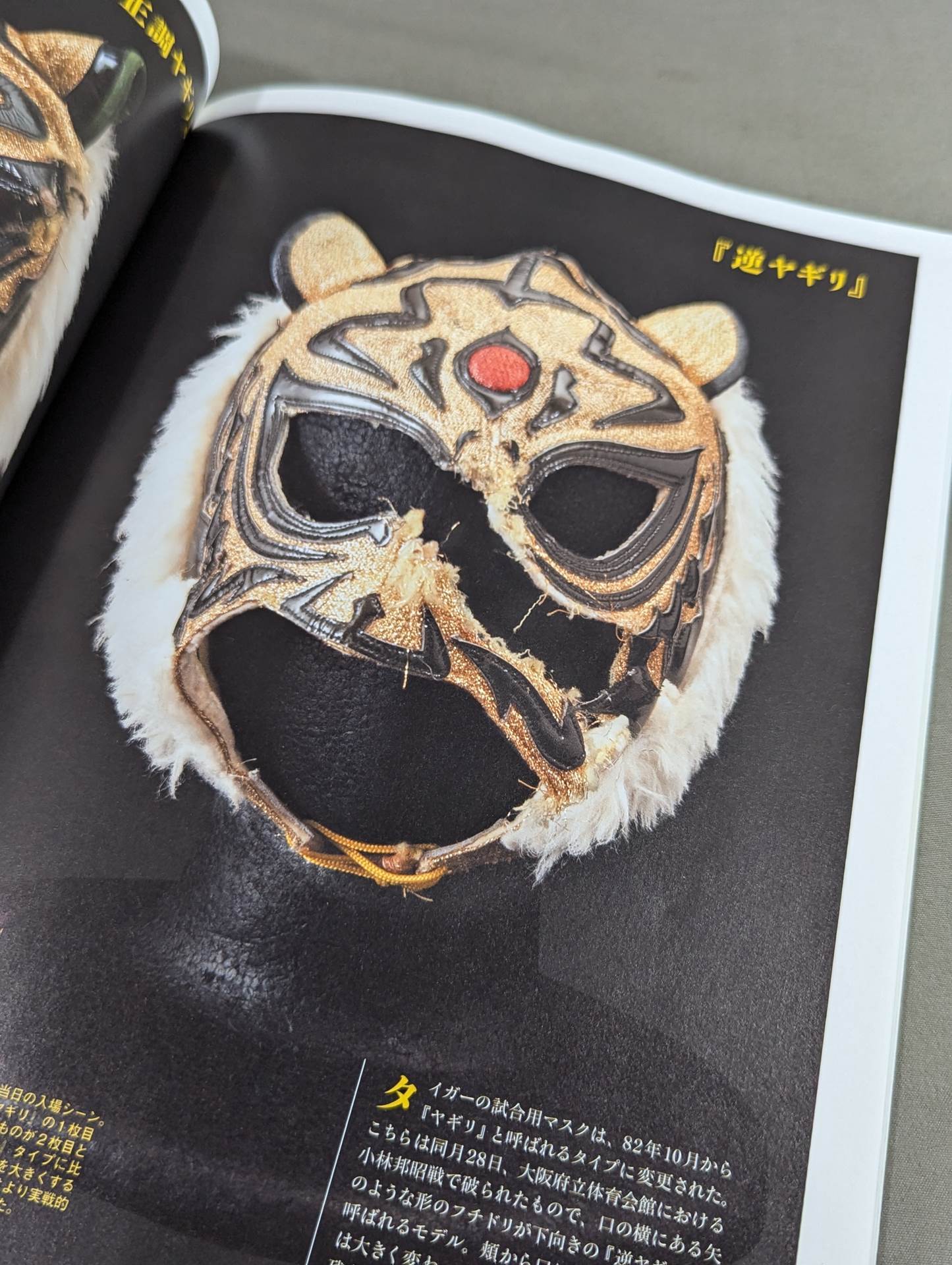 G SPIRITS ARCHIVES vol.1 初代タイガーマスク – 闘道館