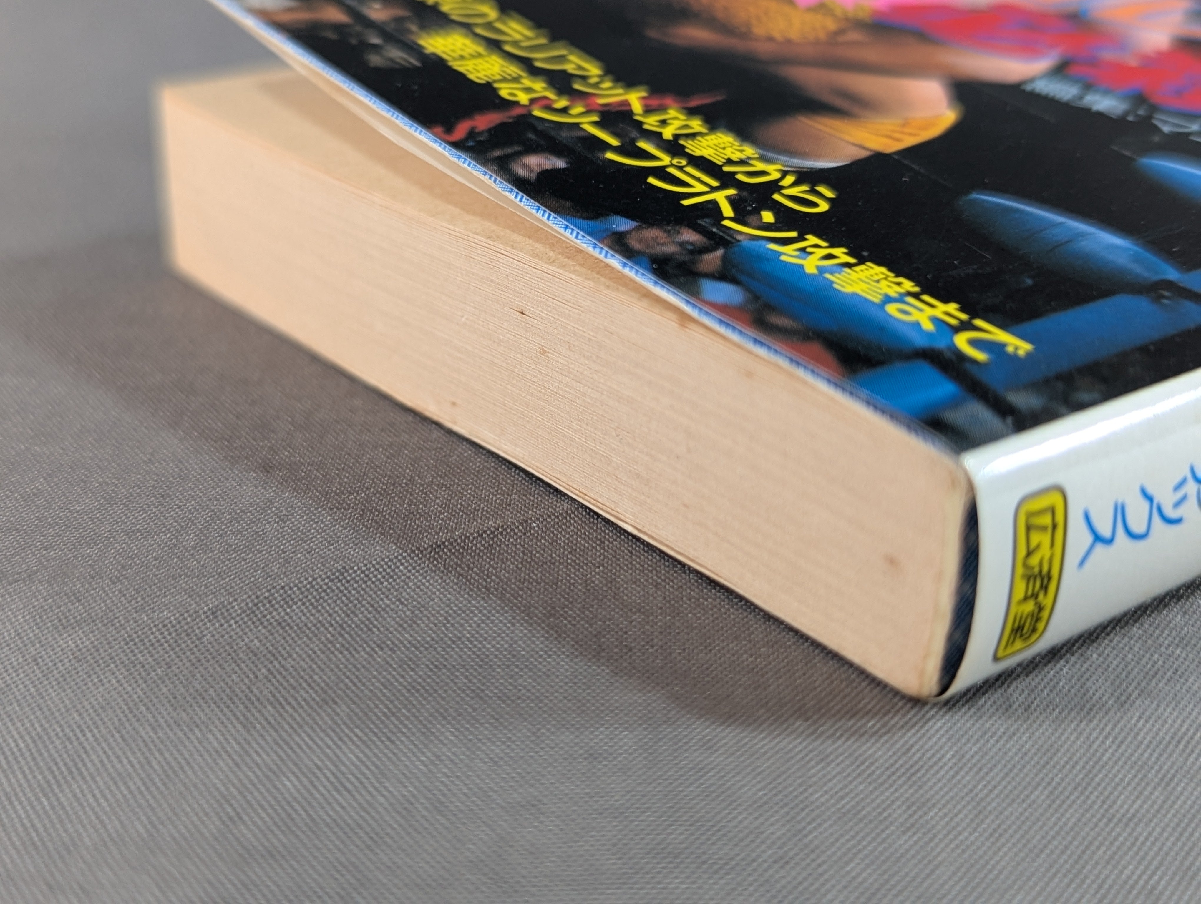 豆たぬきの本198 最新版プロレス必殺技 – 闘道館