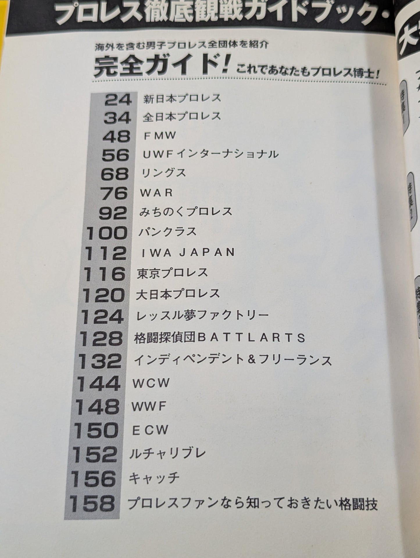 プロレス徹底観戦ガイドブック