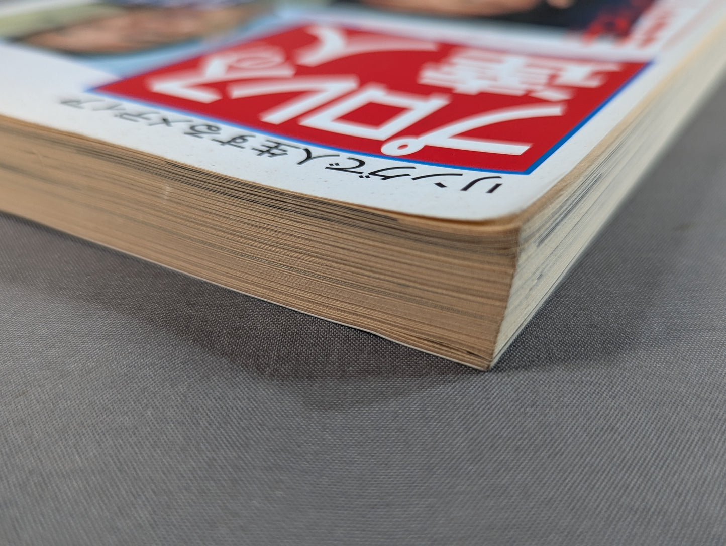 Pro Wrestling Master Vol.4 Seize the Times Fujiwara and Yamamoto Roar