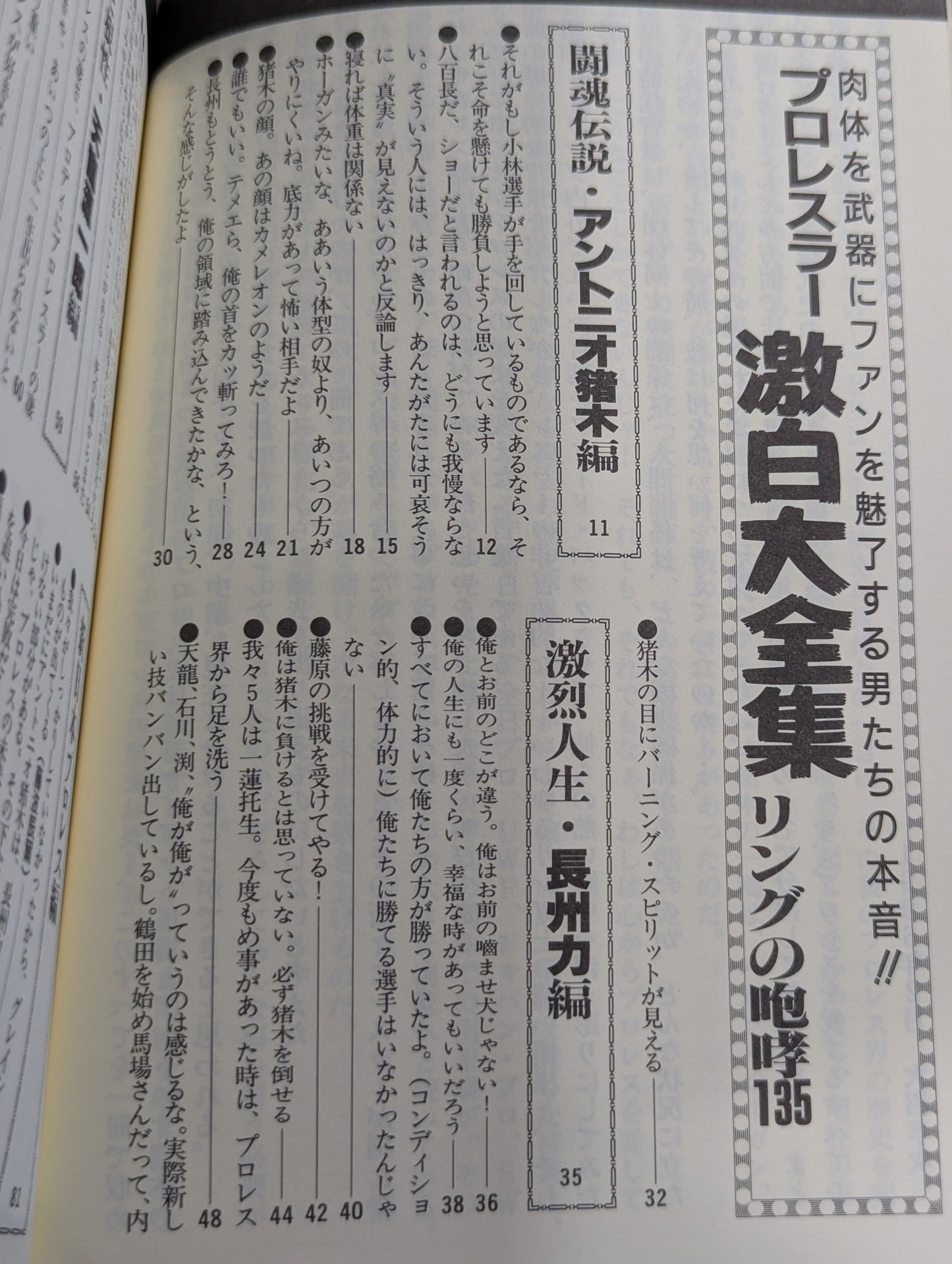 プロレスラー 激白大全集 リングの咆哮135