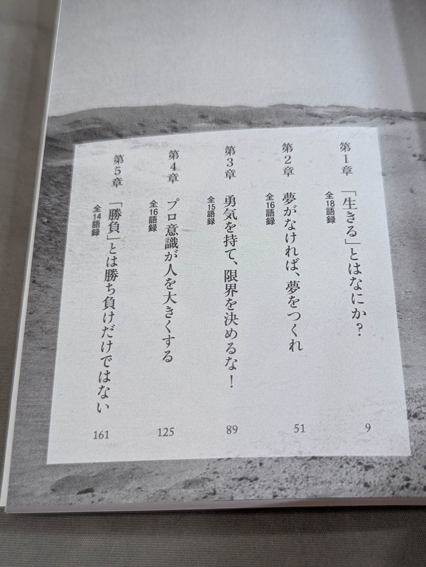 The Last Fighting Spirit