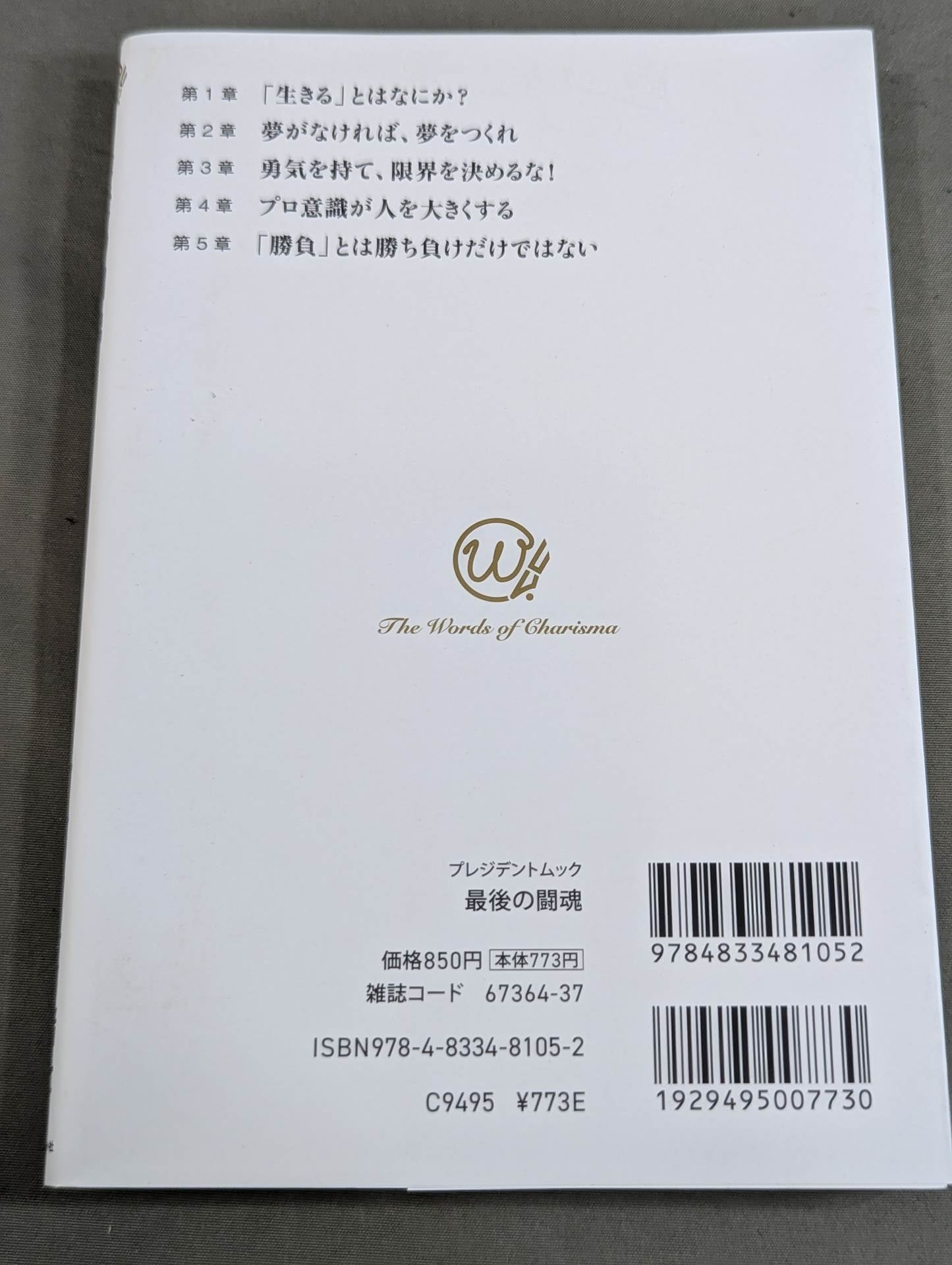 The Last Fighting Spirit