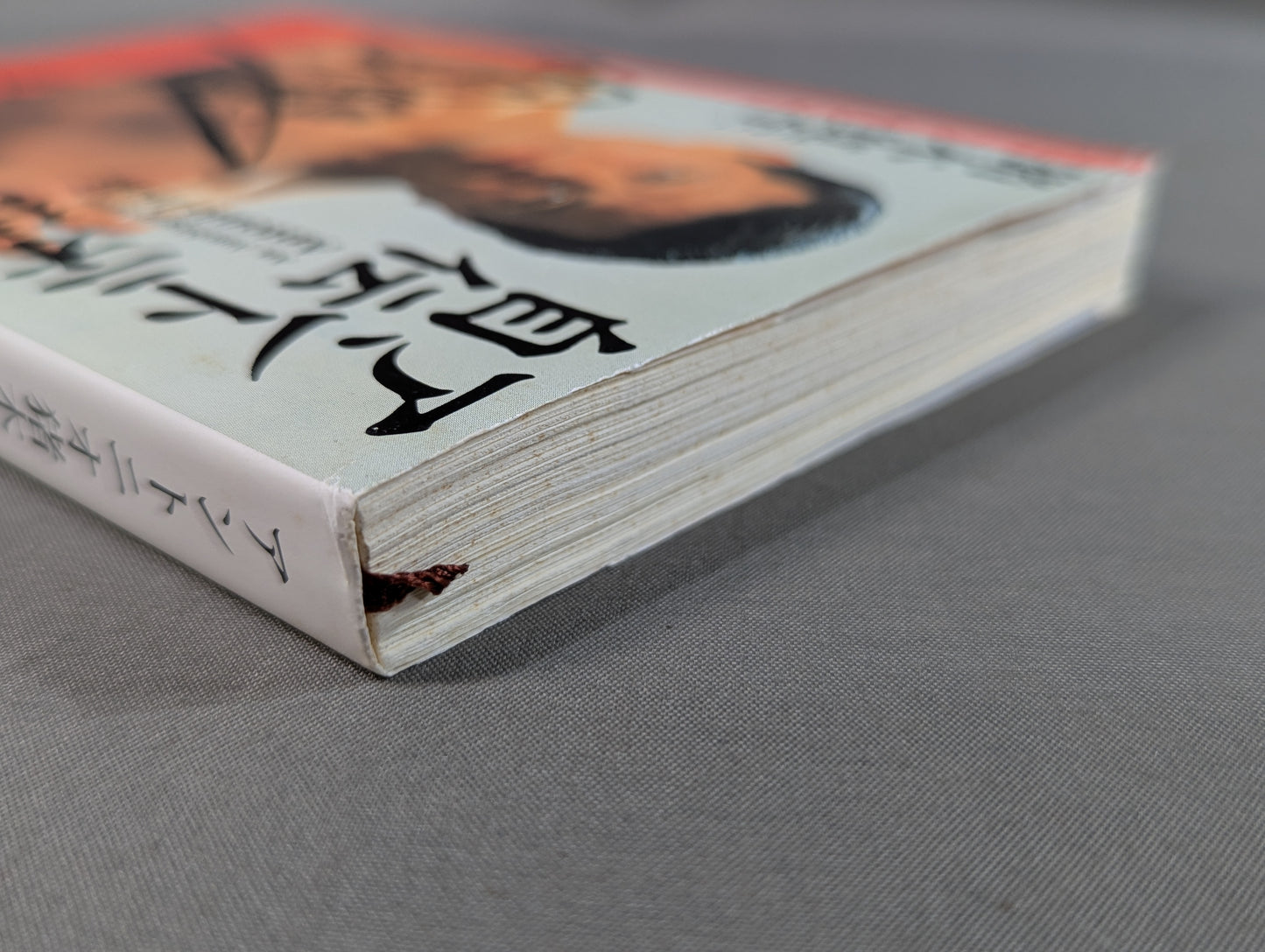 Antonio Inoki  Autobiography