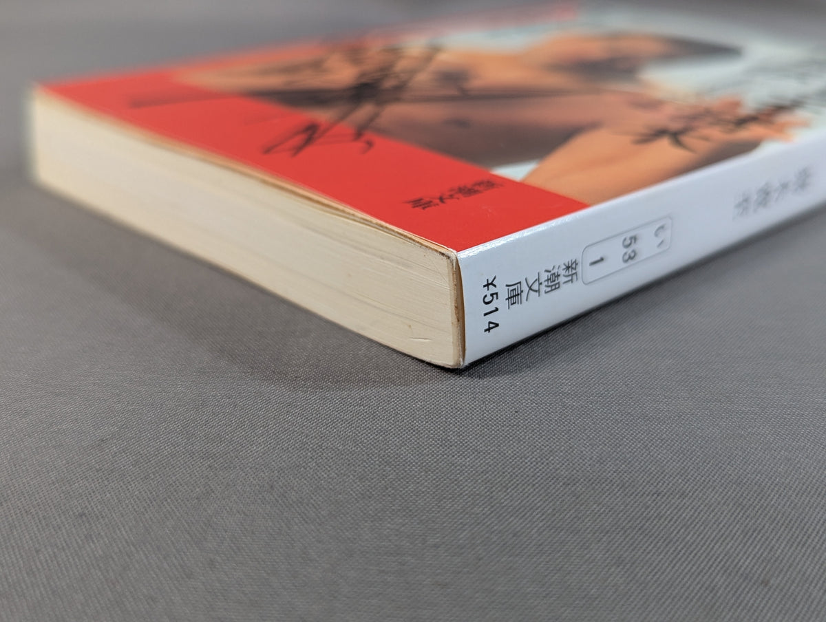 Antonio Inoki  Autobiography