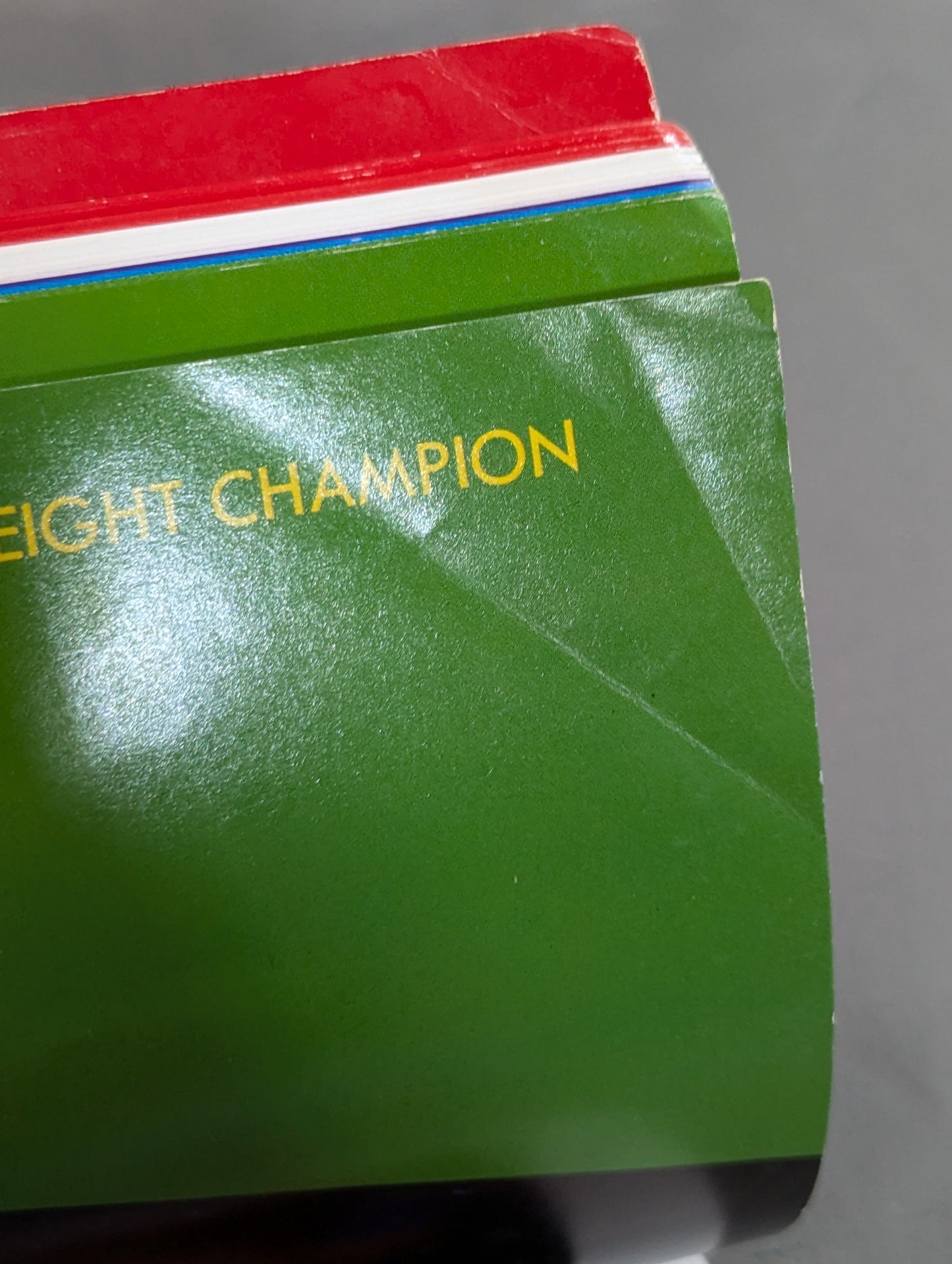 ★ Life-size ★ glorious Pro Wrestling Championship Belt
