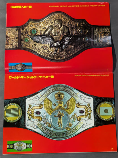 ★ Life-size ★ glorious Pro Wrestling Championship Belt