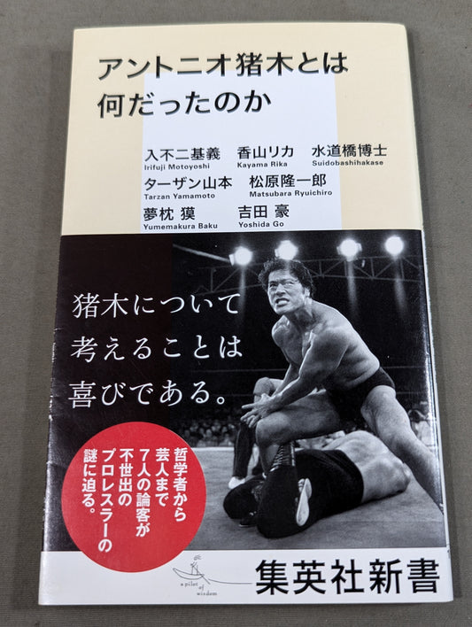 アントニオ猪木とは何だったのか