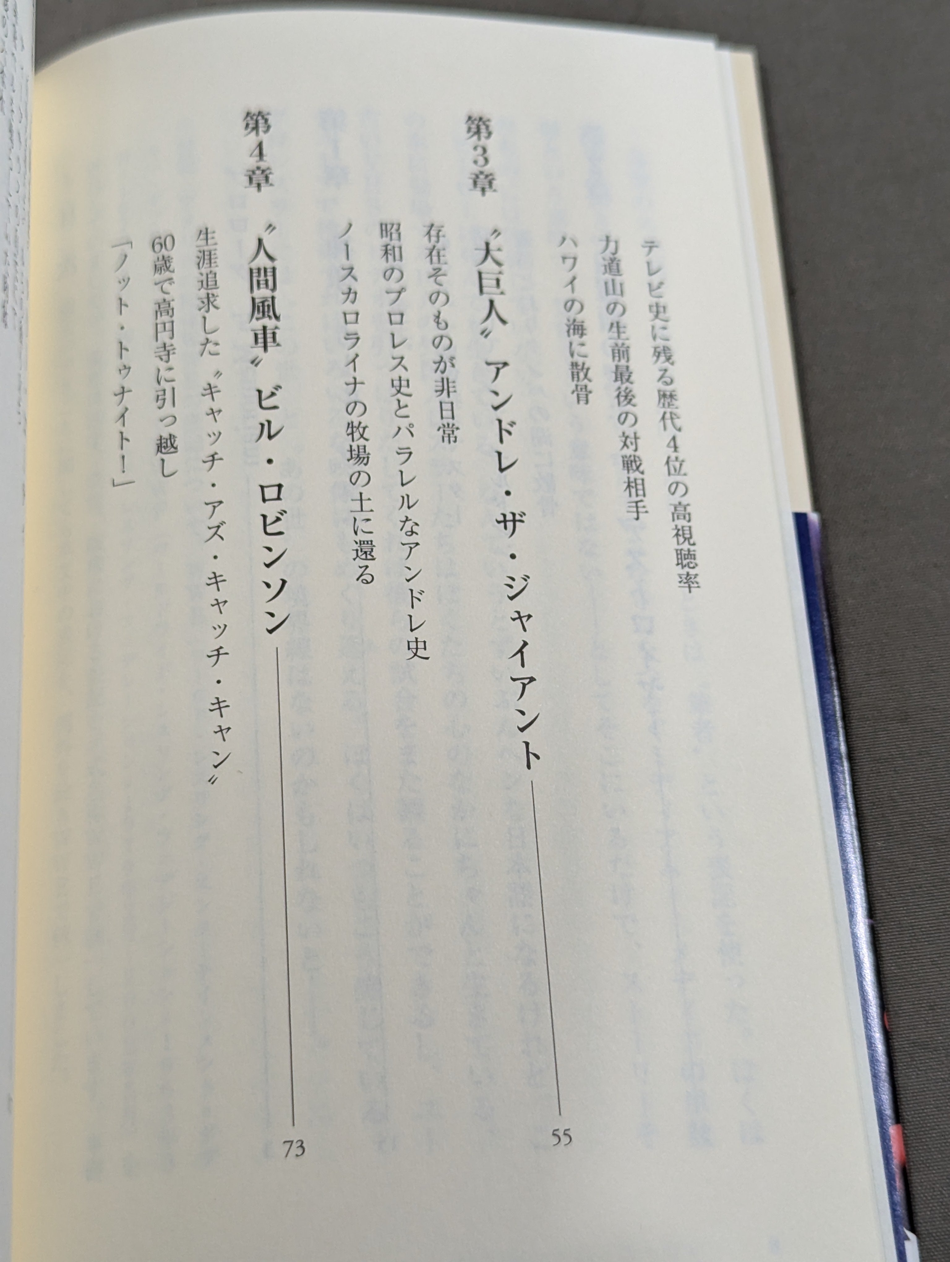 斎藤文彦 直筆サイン入り】忘れじの外国人レスラー伝 – 闘道館