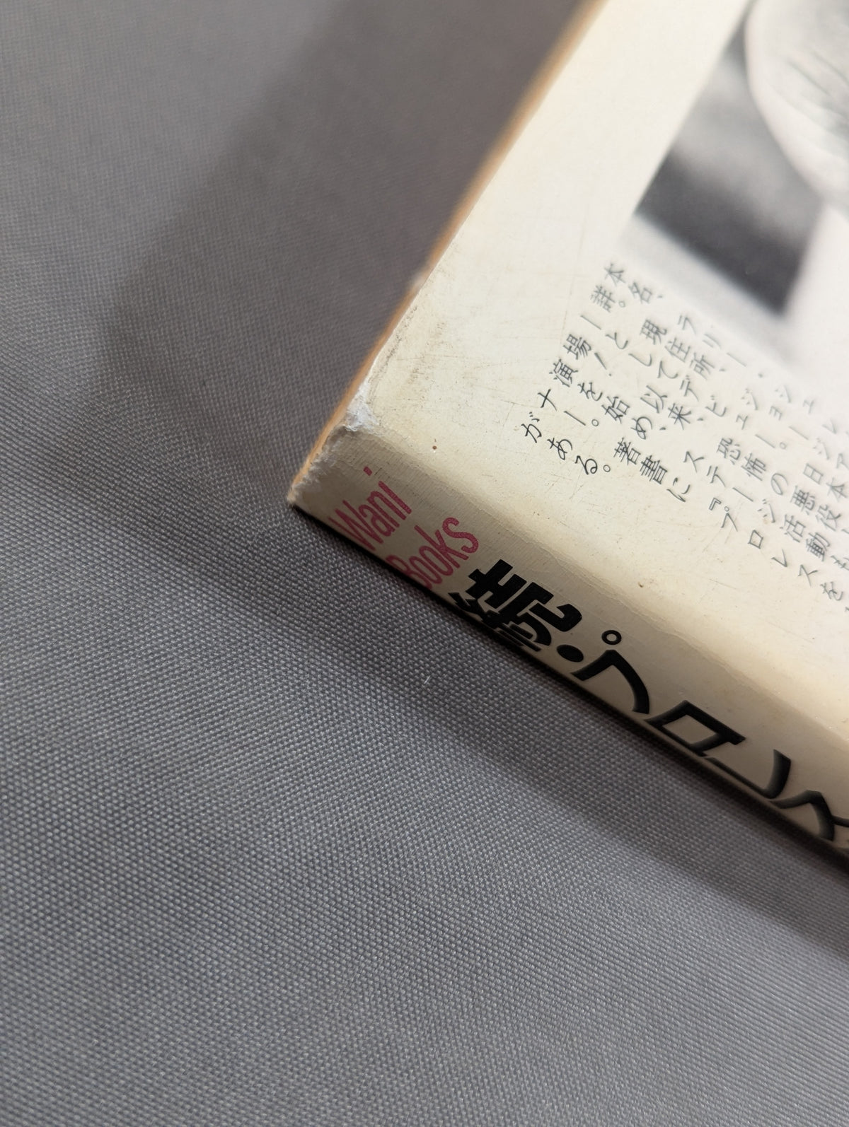 続・プロレスを10倍楽しく見る方法