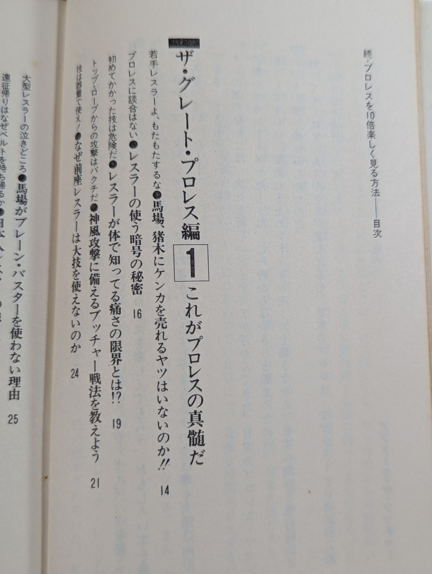 続・プロレスを10倍楽しく見る方法