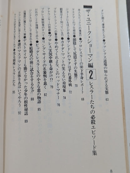 続・プロレスを10倍楽しく見る方法